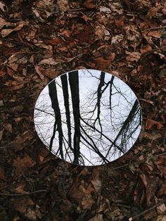 a round mirror sitting on top of leaves covered ground with trees reflected in it's reflection