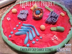 a cake that is decorated with chocolate icing and letters on it, including the words edible cell project