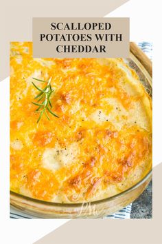 a close up of a casserole in a glass dish with text overlay that reads scalloped potatoes with cheddar