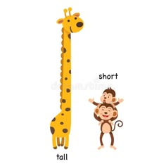 a giraffe and a monkey standing next to each other on a white background