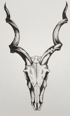 a black and white drawing of a bull's skull with long horns on it