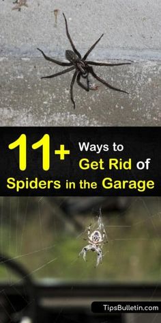 a spider sitting on top of a web covered in water next to the words 11 ways to get rid of spiders in the garage