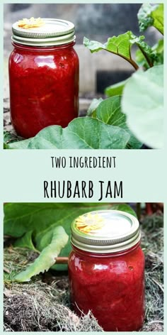 two jars filled with rhubarb jam sitting on the ground next to green leaves