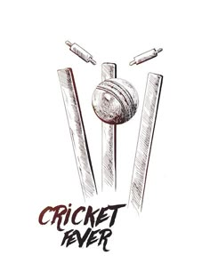 a cricket ball and bats with the words cricket fever written on it in black ink