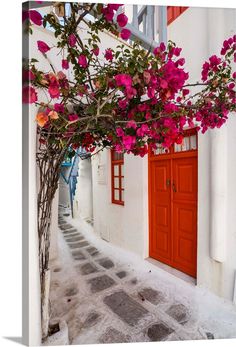 a red door and some pink flowers on a white building