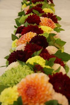 a long row of colorful flowers sitting on top of a white table covered in green leaves