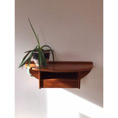 a potted plant is sitting on a shelf