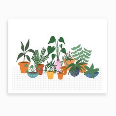 a row of potted plants sitting on top of a white table next to each other