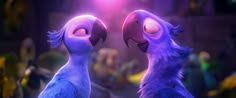 two blue birds standing next to each other in front of a crowd with bright lights