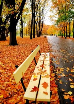 a park bench sitting on top of a sidewalk covered in fall leaves next to trees