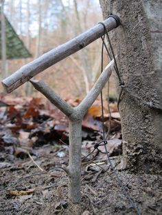 an old wooden walking stick attached to a tree