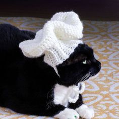 a black and white cat with a knitted hat on it's head laying down