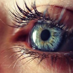 an eye with blue and green iris looking at the camera, close up view to the left