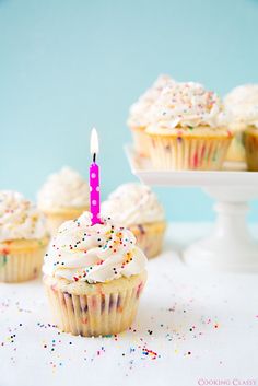 cupcakes with white frosting and a single candle