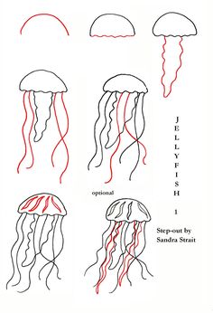 how to draw jellyfish step by step