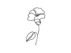 "The core of beauty is simplicity." This flower was made for you to use as an unique birth flower tattoo design. So easy, download the file and have fun at your local tattoo shop ! Please note that this is not a physical item, all of my product are digital - ready to be downloaded after purchasing. All of my creations are hand drawn, scanned, processed and transformed into high resolution digital files for you to download, print and use as art pieces. For this purchase, you will receive a high r Simple Minimal Tattoo, Flower Line Art Tattoo, Birth Flower Line Art, Simple Poppy Tattoo, Line Art Tattoo Design, Morning Glory Tattoo, Iris Flower Tattoo, Art Tattoo Design, Simple Flower Tattoo