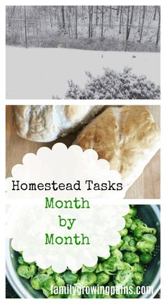 some food that is sitting on top of a wooden table with the words, homestead tasks