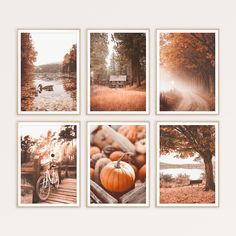 four pictures of pumpkins and a bike on the ground in front of a lake