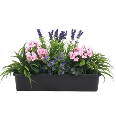 pink and purple flowers are in a black planter on a white background with greenery