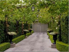 an entrance to a garden with hedges and potted plants on either side of the walkway