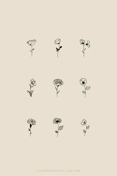 flowers drawn in black and white on a beige background