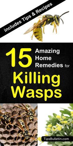 Killing Wasps, Get Rid Of Wasps, Cooking With Turmeric, Yellow Jackets, Diy Remedies, Bug Repellent, Natural Therapy