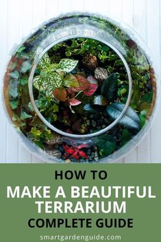 a bowl full of plants with the title how to make a beautiful terrarium complete guide