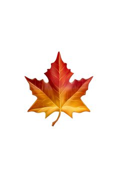 a red and yellow maple leaf on a white background