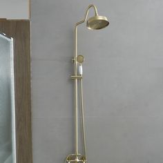 a shower head and hand shower with thermostaer attached to it in a bathroom