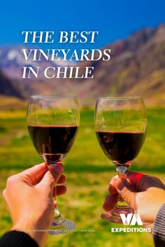 two people holding wine glasses with the words, the best vineyards in chile