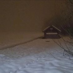 a dog house in the snow at night