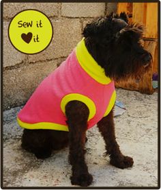 a small dog wearing a pink and yellow shirt sitting in front of a brick wall