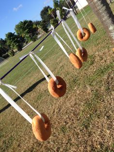 donuts hanging from a line in the grass