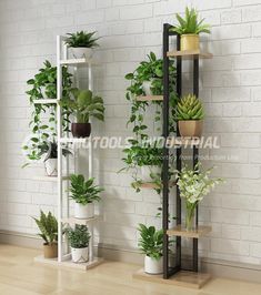 several potted plants on shelves against a white brick wall with wooden flooring in the corner