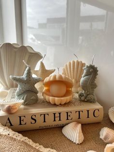 sea shells and seashells sit on top of a book next to a window