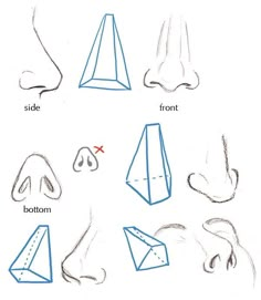 different types of nose shapes and how to draw them with pencils on the paper