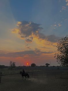 a person riding on the back of a horse in an enclosed area at sunset or dawn