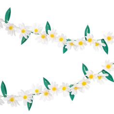 white daisies and green leaves on a string