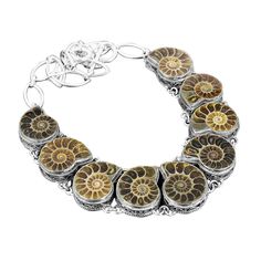 Fossil Necklace, Fossil Jewelry, Ammonite Fossil, Wedding Necklace, Necklace Jewelry, High Tech, Fossil, 925 Silver, Jewelry Necklaces