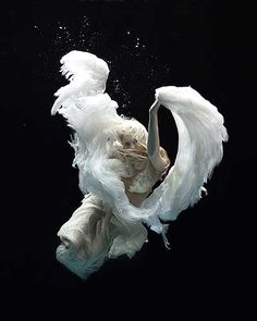 an underwater photo of a woman with white feathers