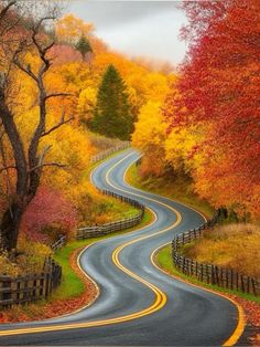 a winding road surrounded by trees with fall colors