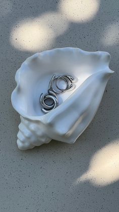 a white shell with two silver rings in it