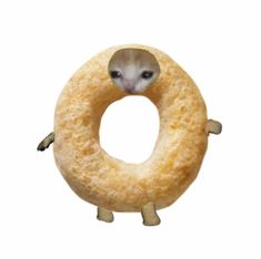 a small animal with its head stuck in a doughnut shaped like an o - ring