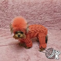 a small dog wearing an orange sweater and hat with a pom - pom on it's head