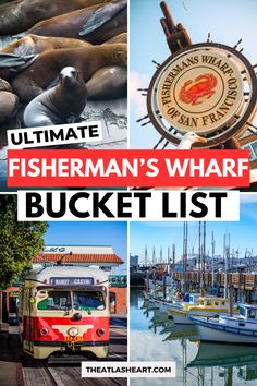 the ultimate fisherman's wharf bucket list