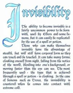 an image of a page from the book invisibleity