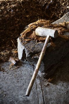 an old wooden stick laying on top of a pile of wood shavings and mulch