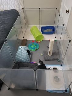 a cat is sitting in the corner of a room with its litter box on the floor