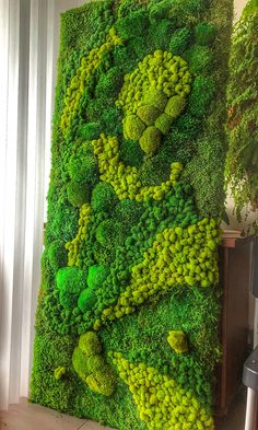 a green wall covered in moss and plants