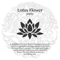 lotus flower with the words lotus flower puriy written in black on white background